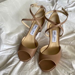 Jimmy Choo Emsy 85 in ballet pink